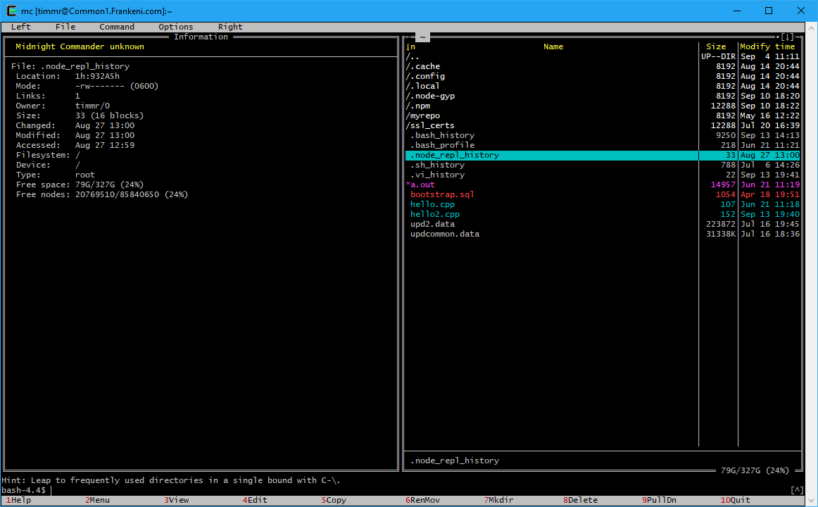 Figure 6. File attributes are shown on the left and an FTP site is in the right pane. 