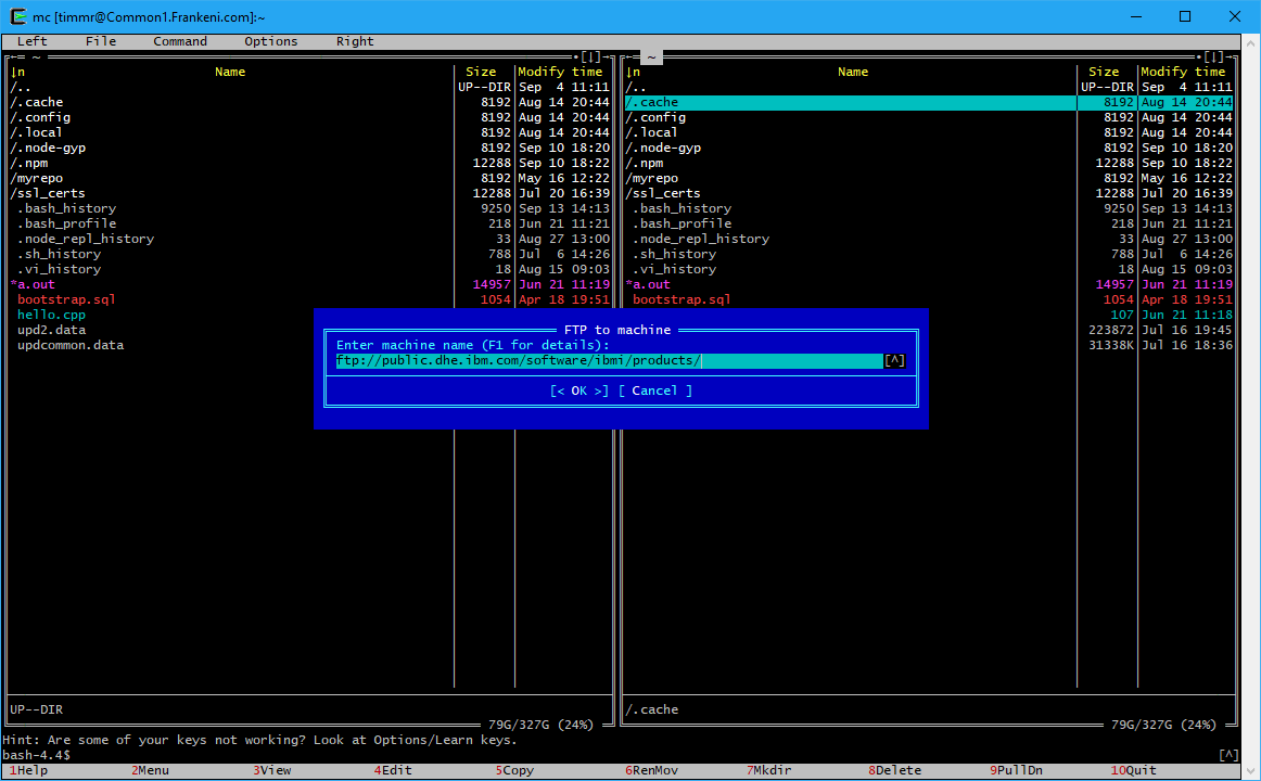 Figure 7. Two FTP panels are shown. A window for transferring files from /.cache appears.