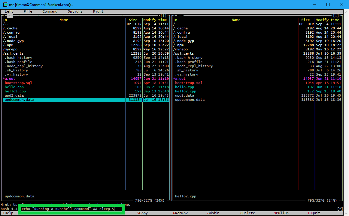 Figure 3. echo "Running a subshell command" && sleep 5.