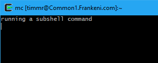 Figure 4. Running a subshell command.