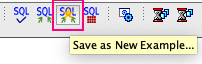 Figure 3. The Save as New Example icon