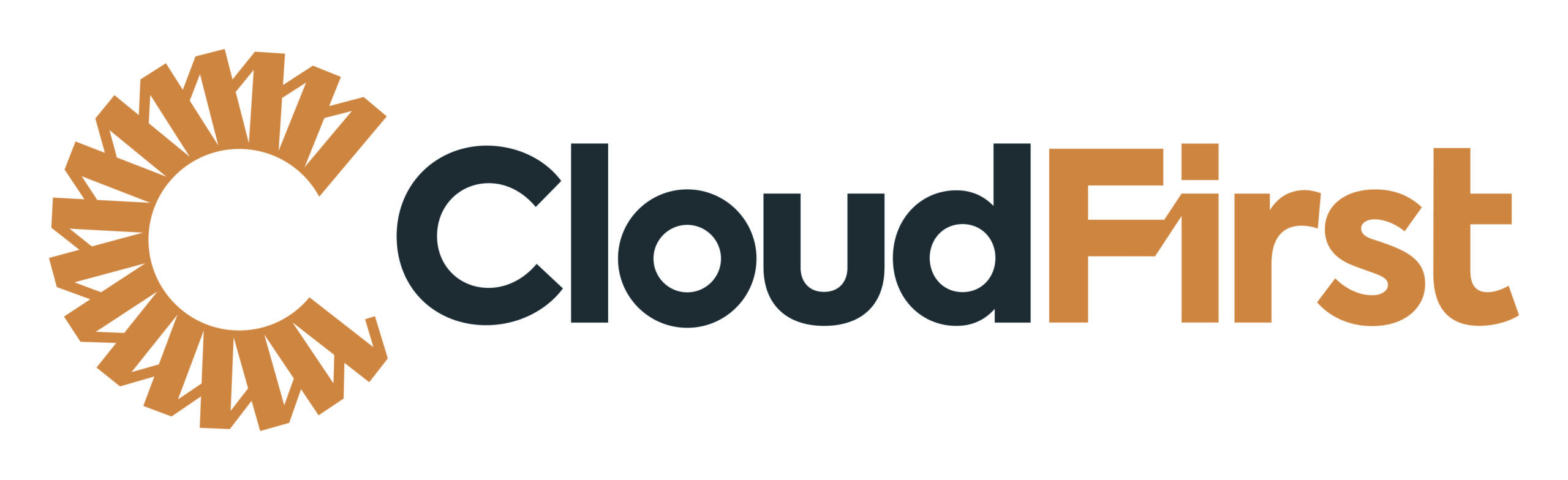 CloudFirst Flagship Solutions Logo