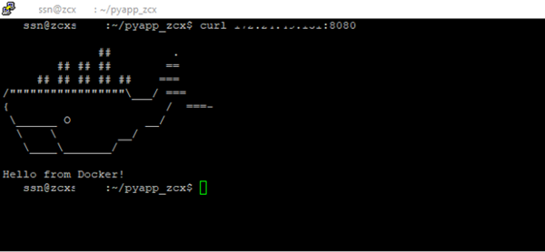 Figure 10. Output from running container that has a Python application exposed on the port 8080