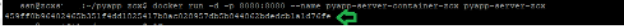 Figure 8. Output of the command ‘docker run -d -p 8080:8080 --name pyapp-server-container-zcx pyapp-server-zcx’