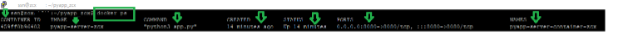 Figure 9. Output from running container that has a python application exposed on the port 8080