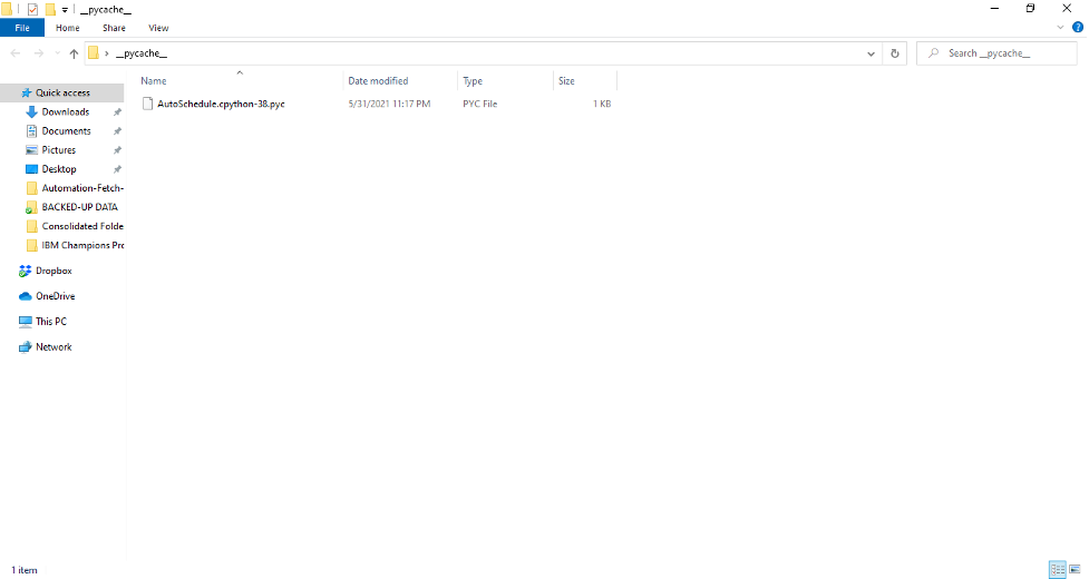 Figure 4. Content of the __pycache__ folder