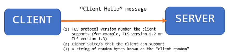 The client sends a “Client Hello” message to the server.