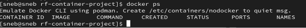 Figure 11: Output of a Docker ps command.