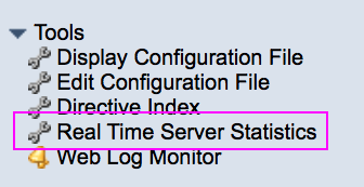 Figure 2. The Real Time Server Statistics link 