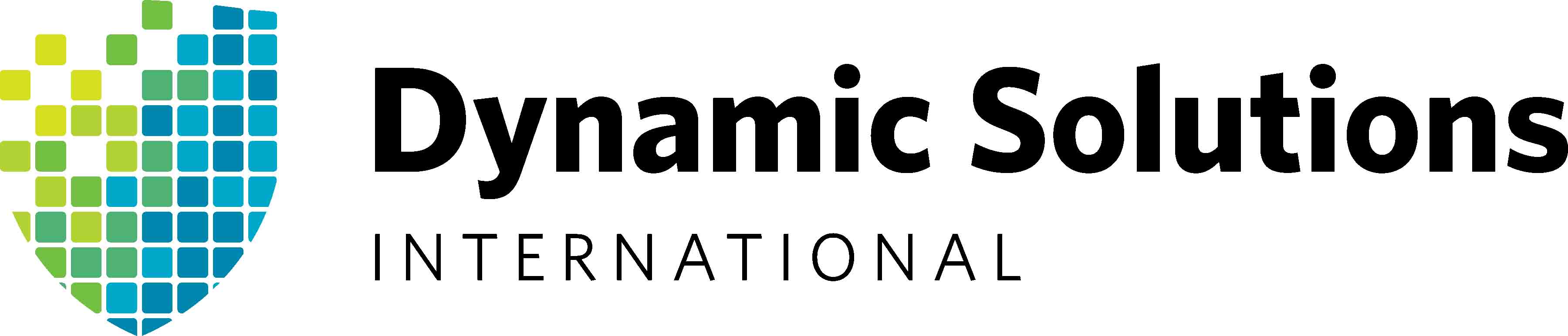 Dynamic Solutions International Logo