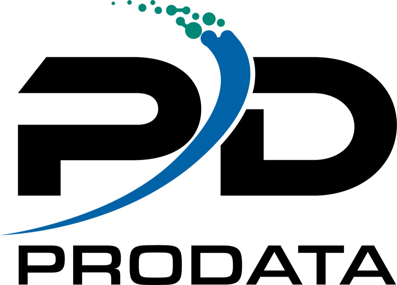 ProData Computer Services Logo