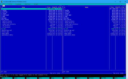 Figure 1. The current directory in the Midnight Commander default interface